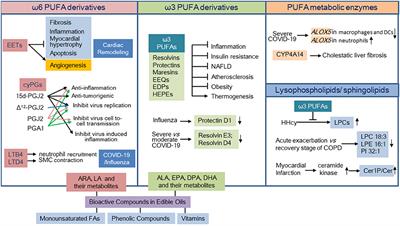 Editorial: The Role of Bioactive Lipids in Homeostasis and Pathology